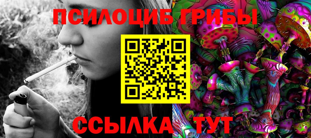 Тамбов  Галлюциногенные грибы Magic Shrooms  Вход с VPN  Псилоцибиновые грибы мухоморы 