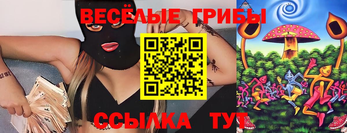 Галлюциногенные грибы прущие грибы Тамбов